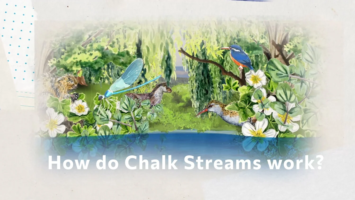 Website_Thumbnail_HowDoesAChalkStreamWork.jpg