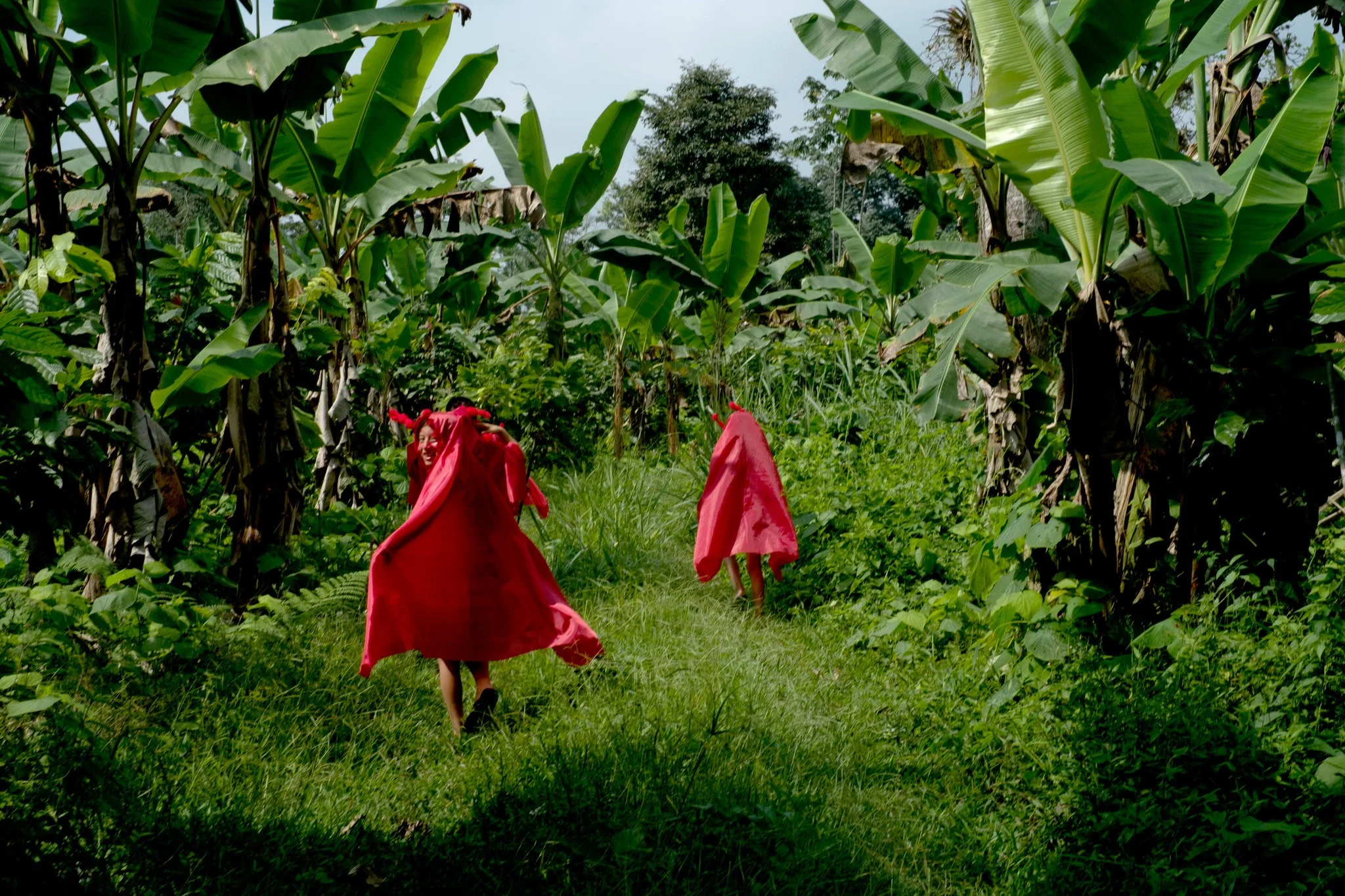 Santo Domingo de los Tsáchilas during a cleansing ceremony, June 2013. The Tsáchilas, an indigenous group situated in the foothills of the Andes in Ecuador, use the red achiote seed during ceremonies and paint their heads with it as a tribute to this plant that cured them of chickenpox during the Spanish colonization. Credit: Emilia Lloret