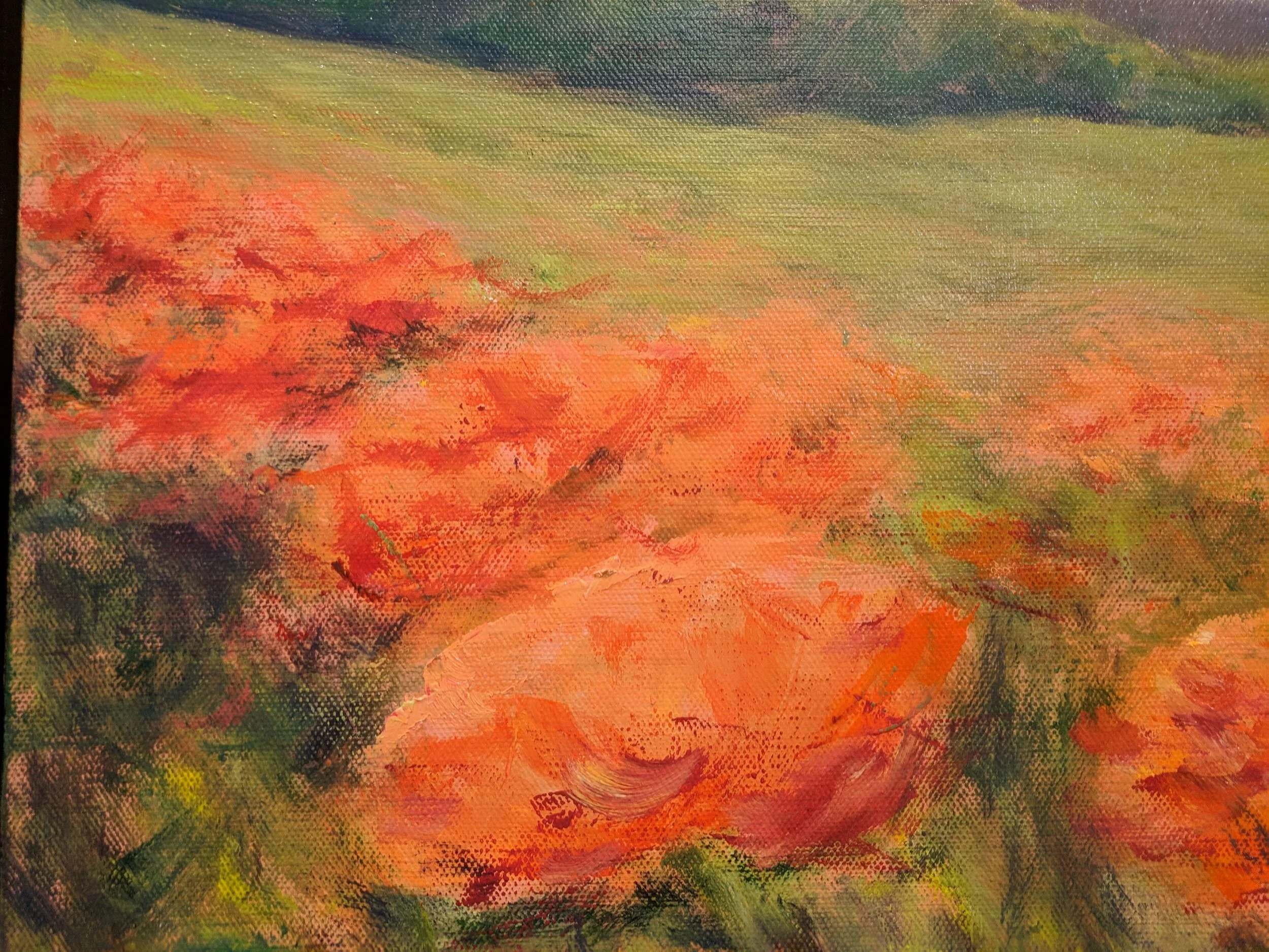 Field of Orange Poppies cu2-min.jpg