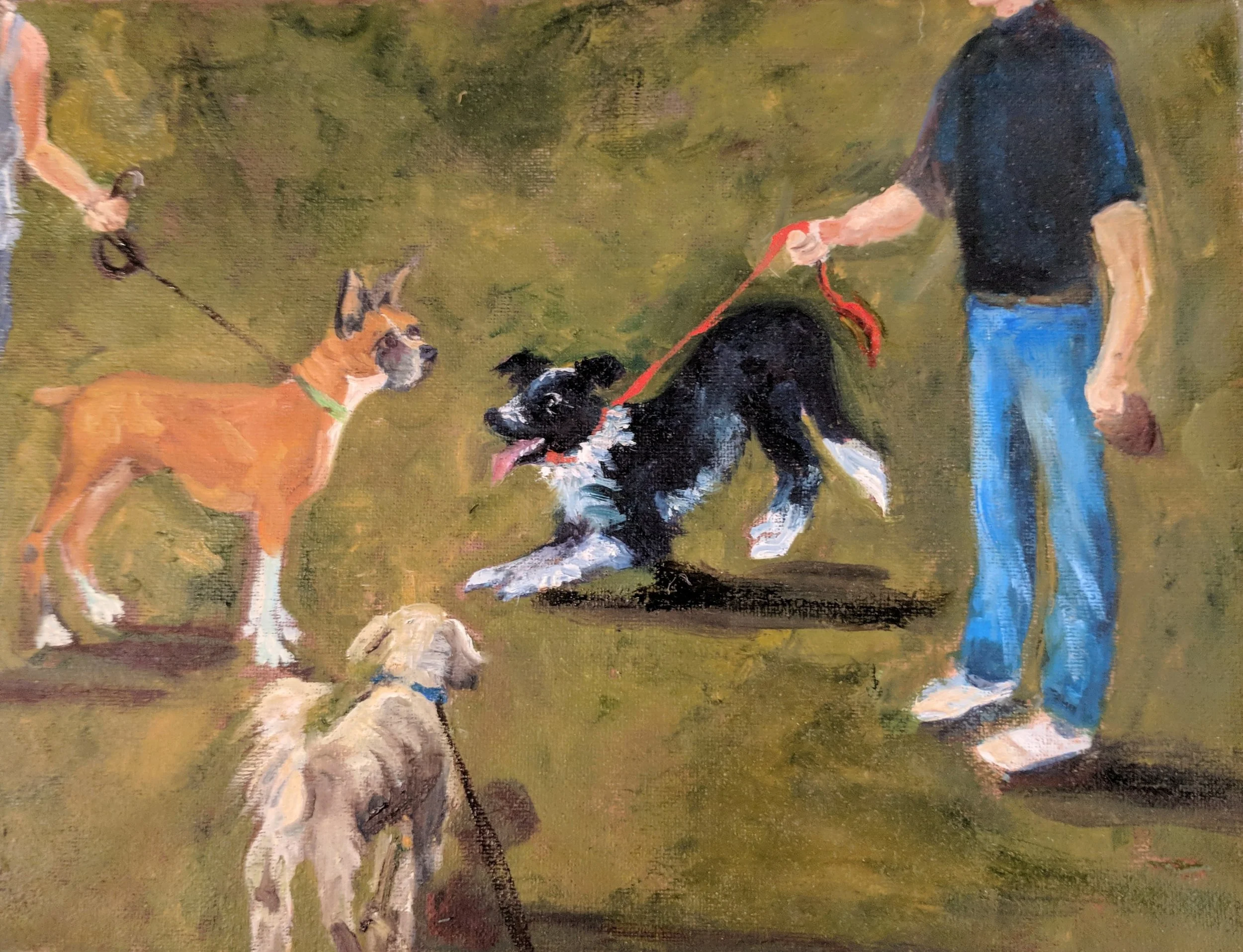 dog park i-min.jpg