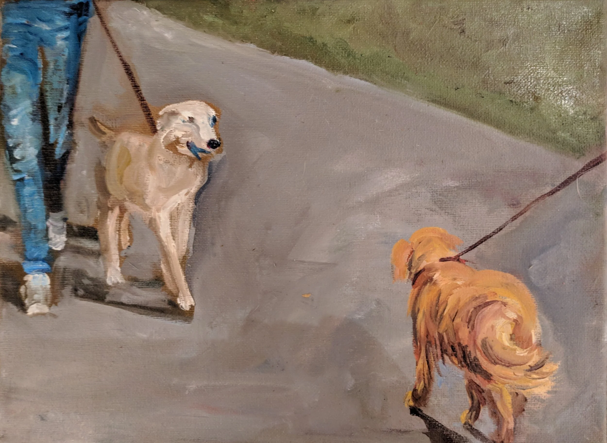 dog park ii-min.jpg