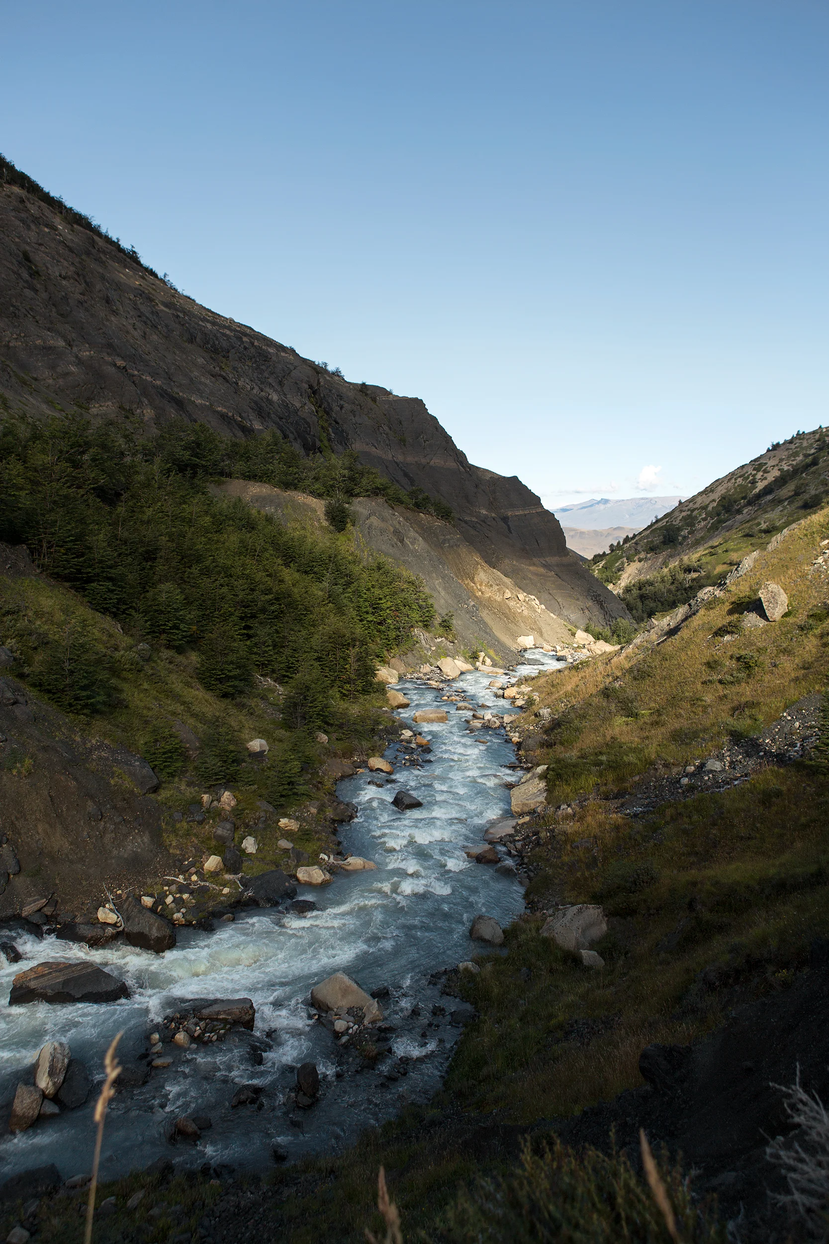 SA2013_0955.jpg