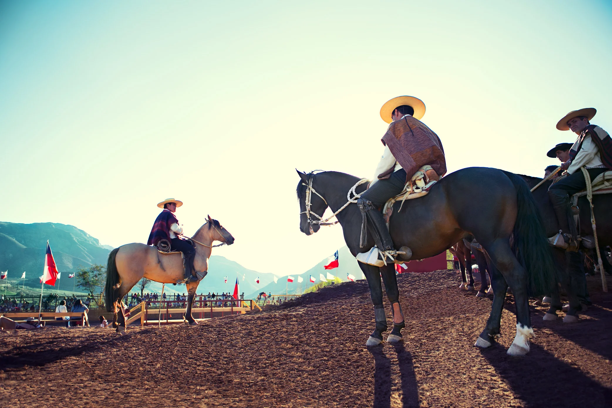 SA2013_0060.jpg