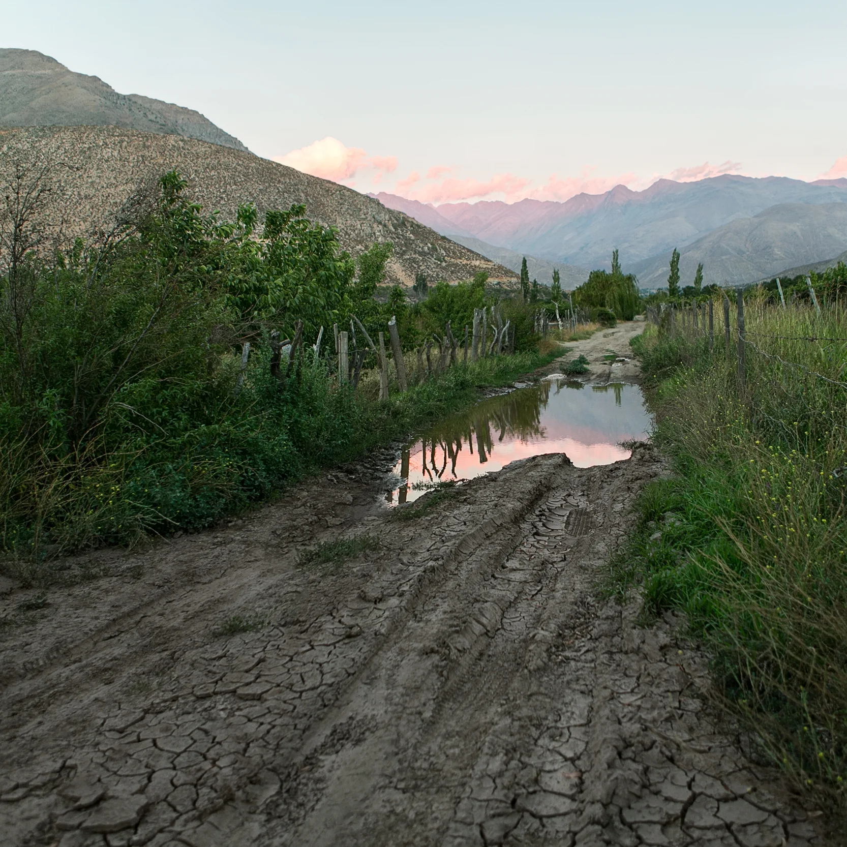 SA2013_0355.jpg