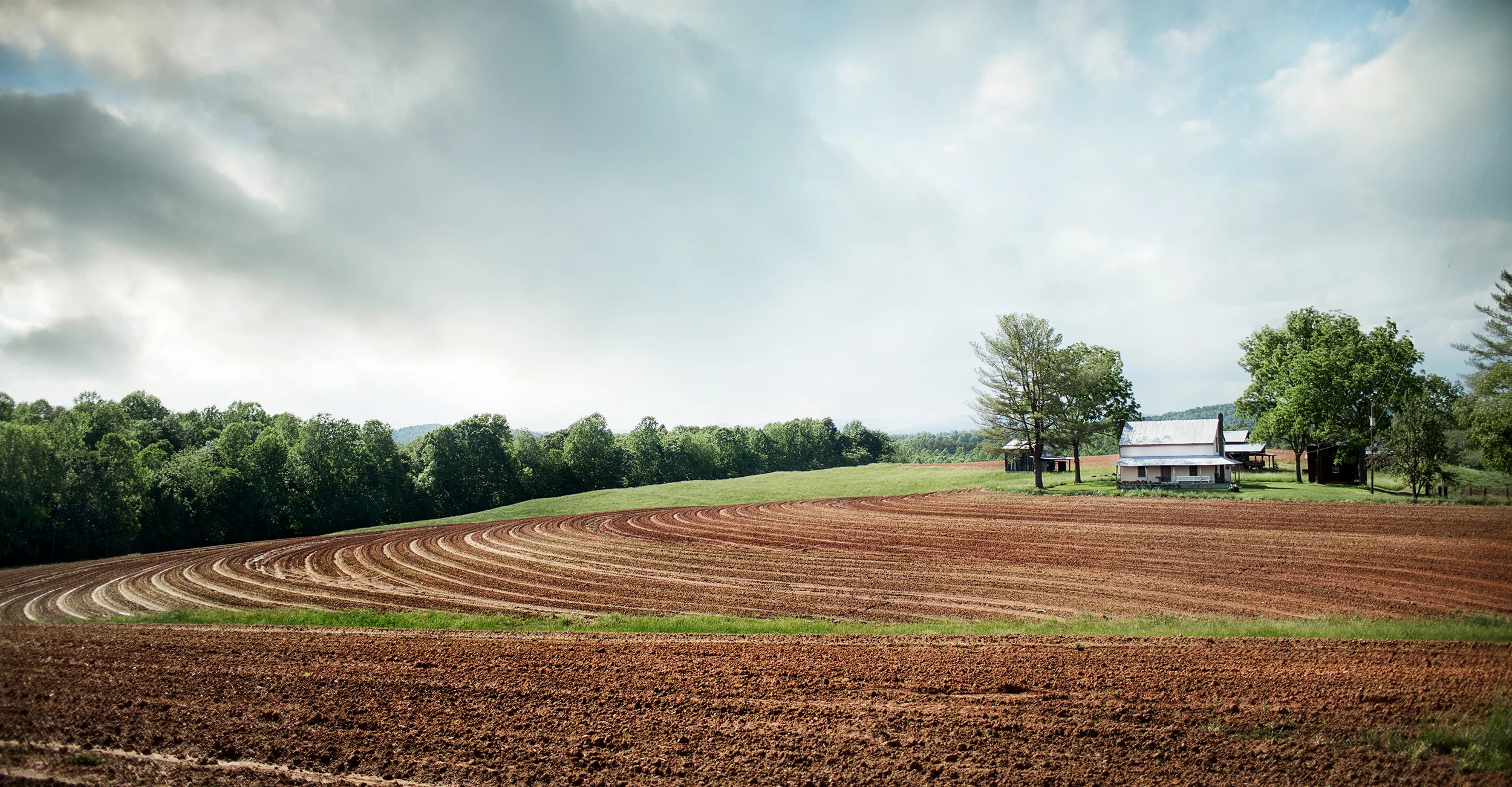 OurState_StokesCo_2096w2.jpg