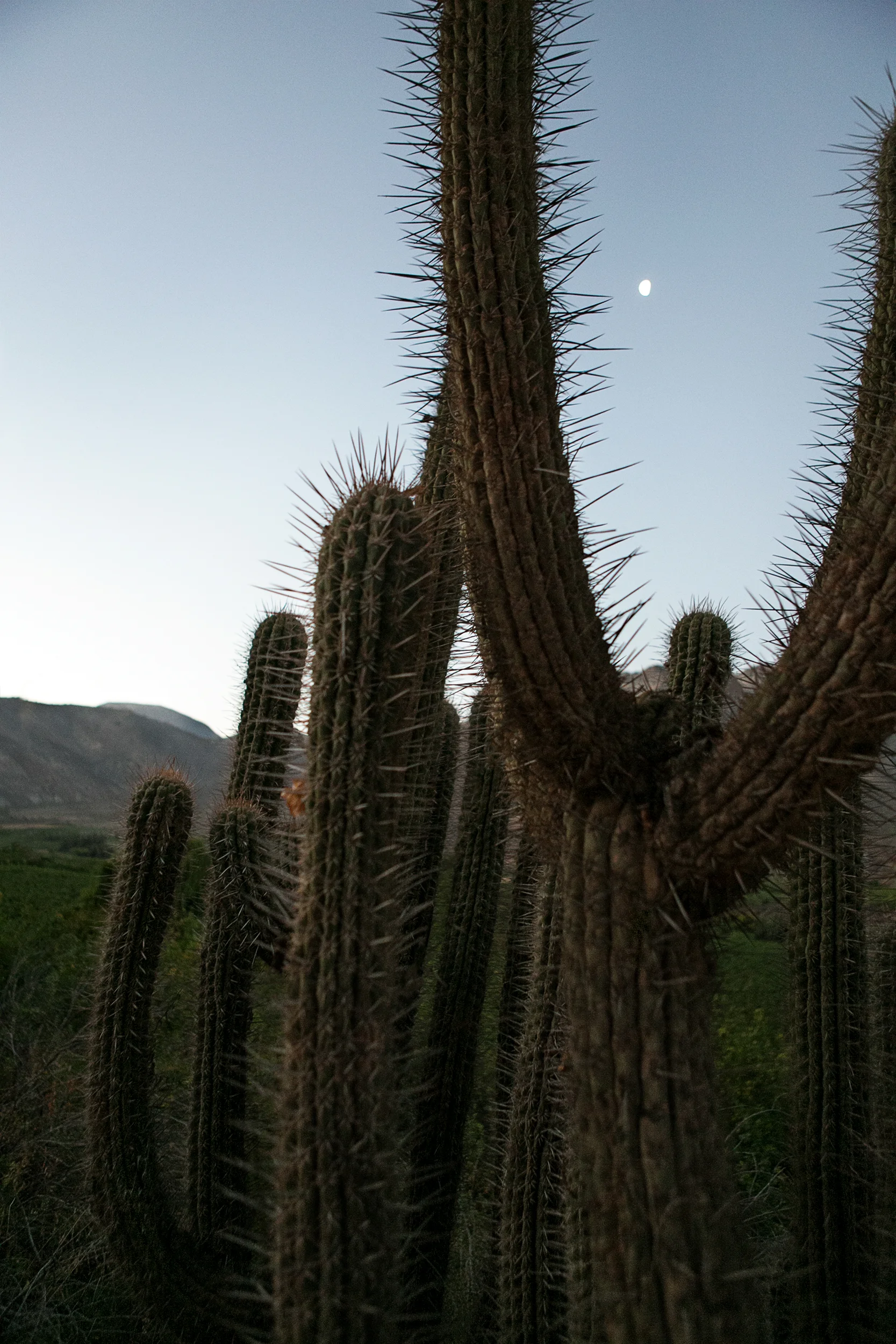 SA2013_0389.jpg