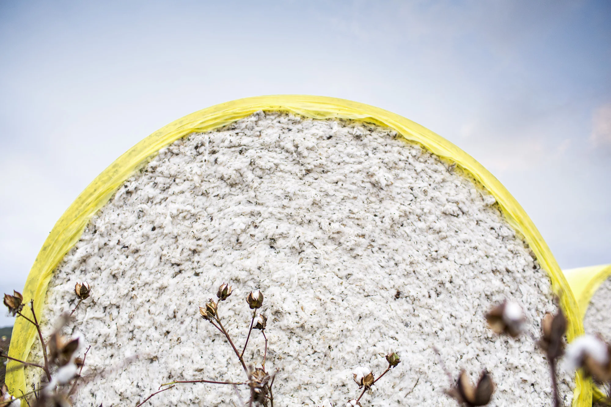 FARMING. IT'S IN THE FAMILY.