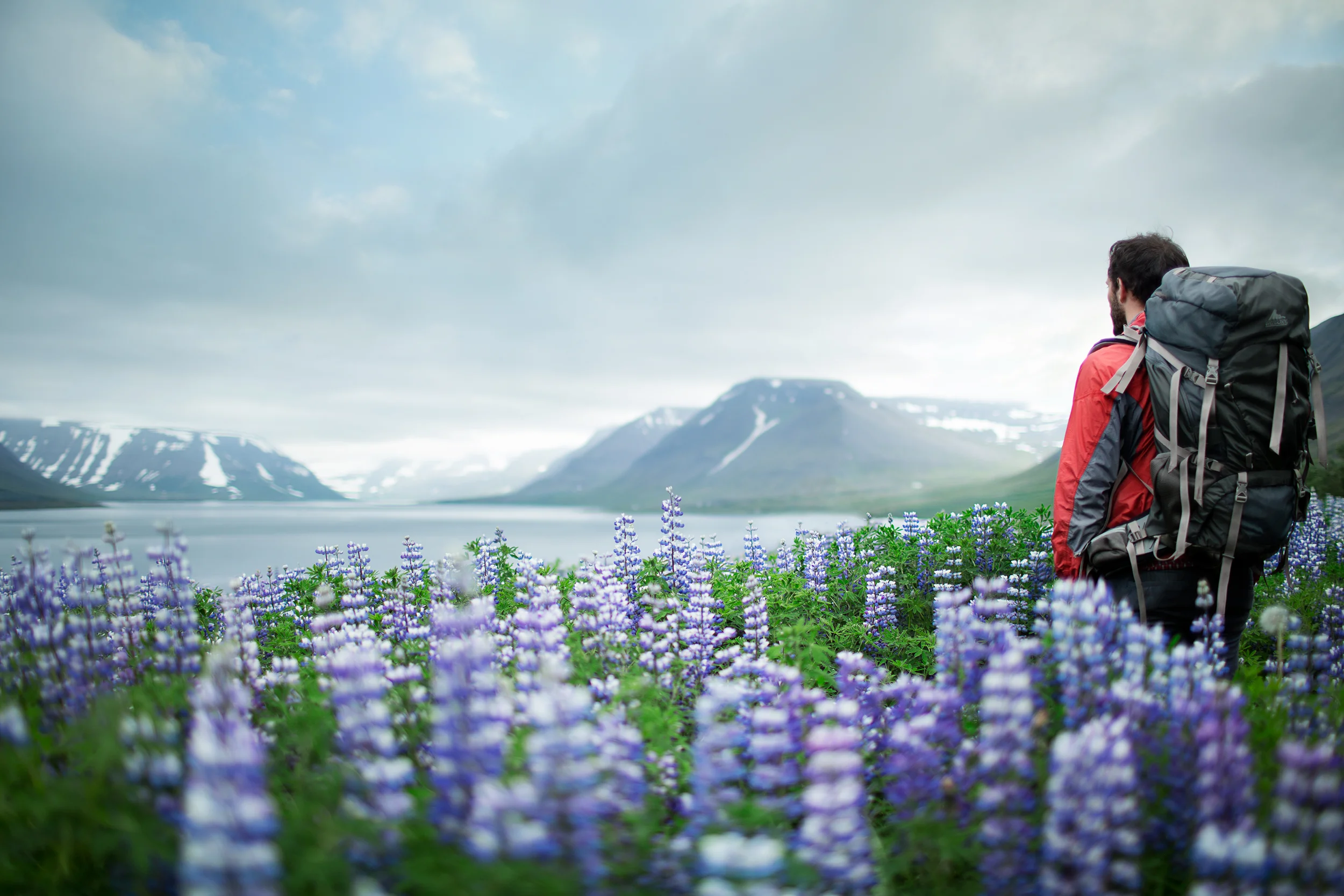 Iceland2014_0407.jpg