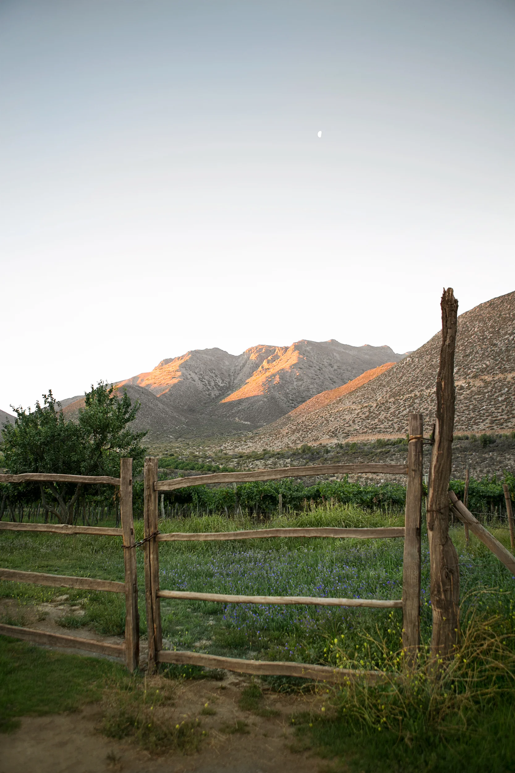 SA2013_0336.jpg