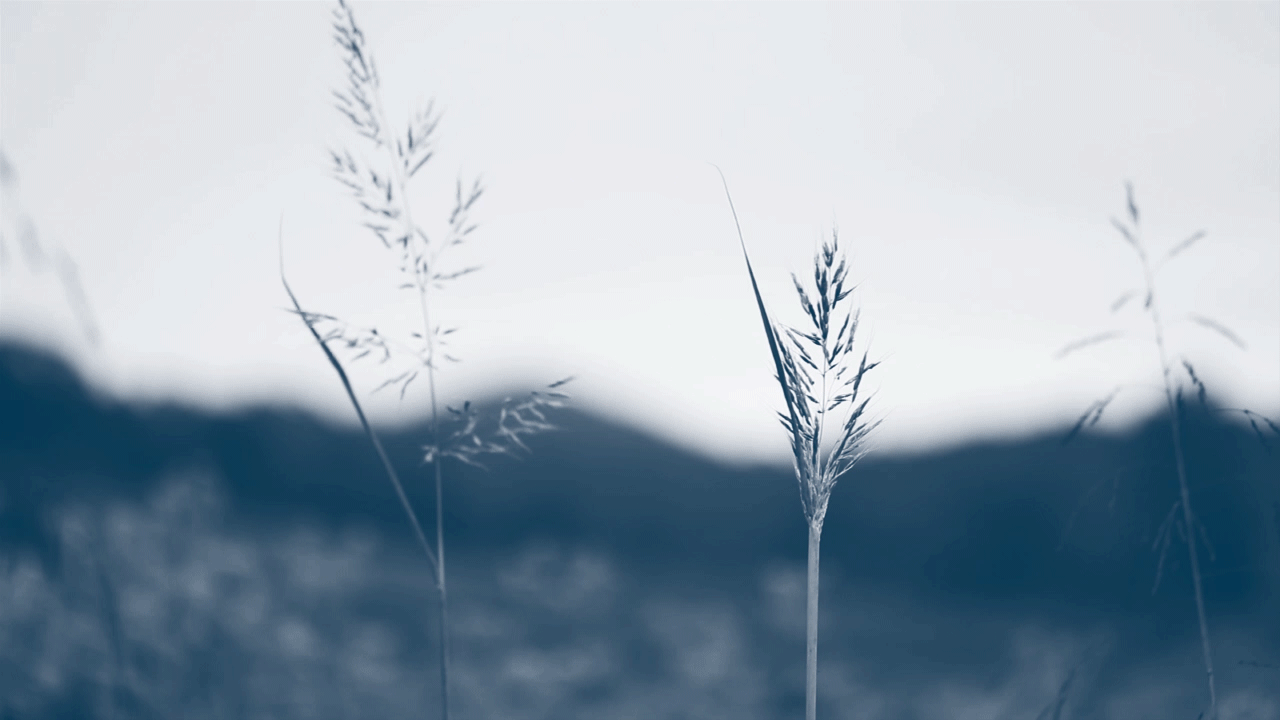 MARRIOTT_RANCH_0327_LOOPv3.gif