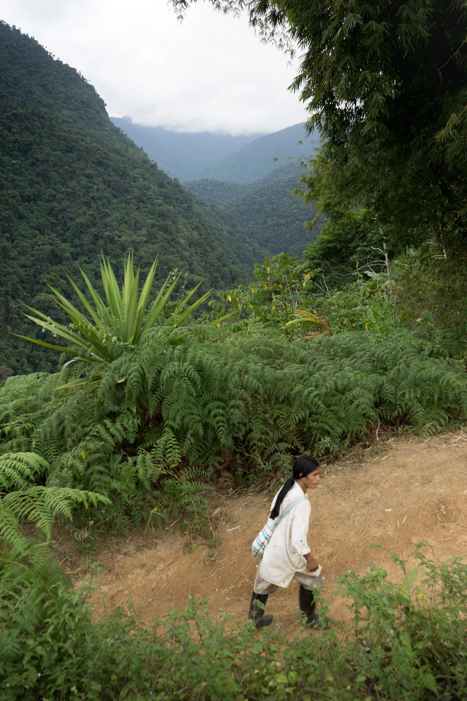 Colombia2019_088.jpg