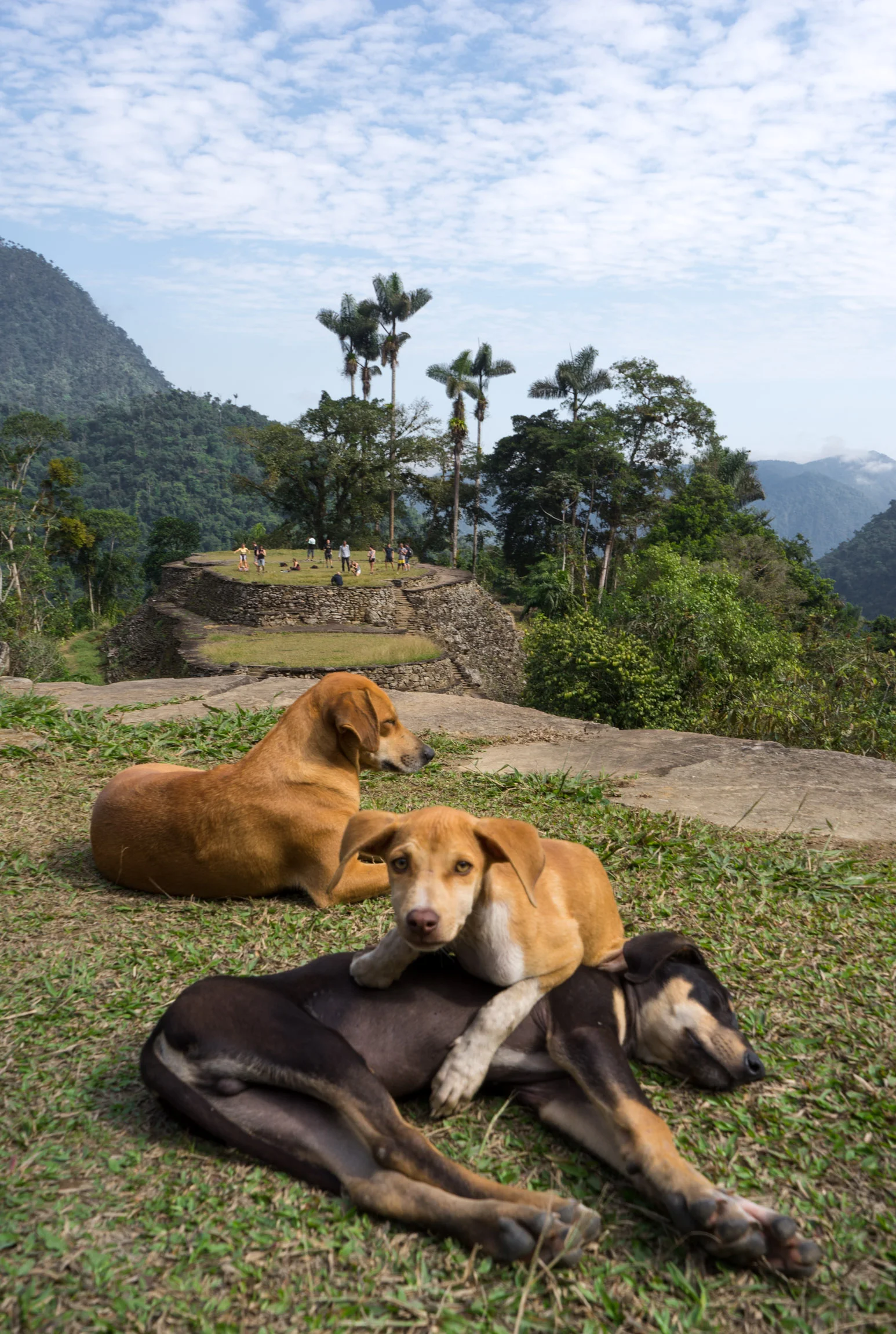 Colombia2019_226.jpg