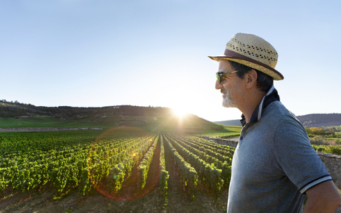 Screen Shot 2020-08-05 at 10.43.04 AM.png