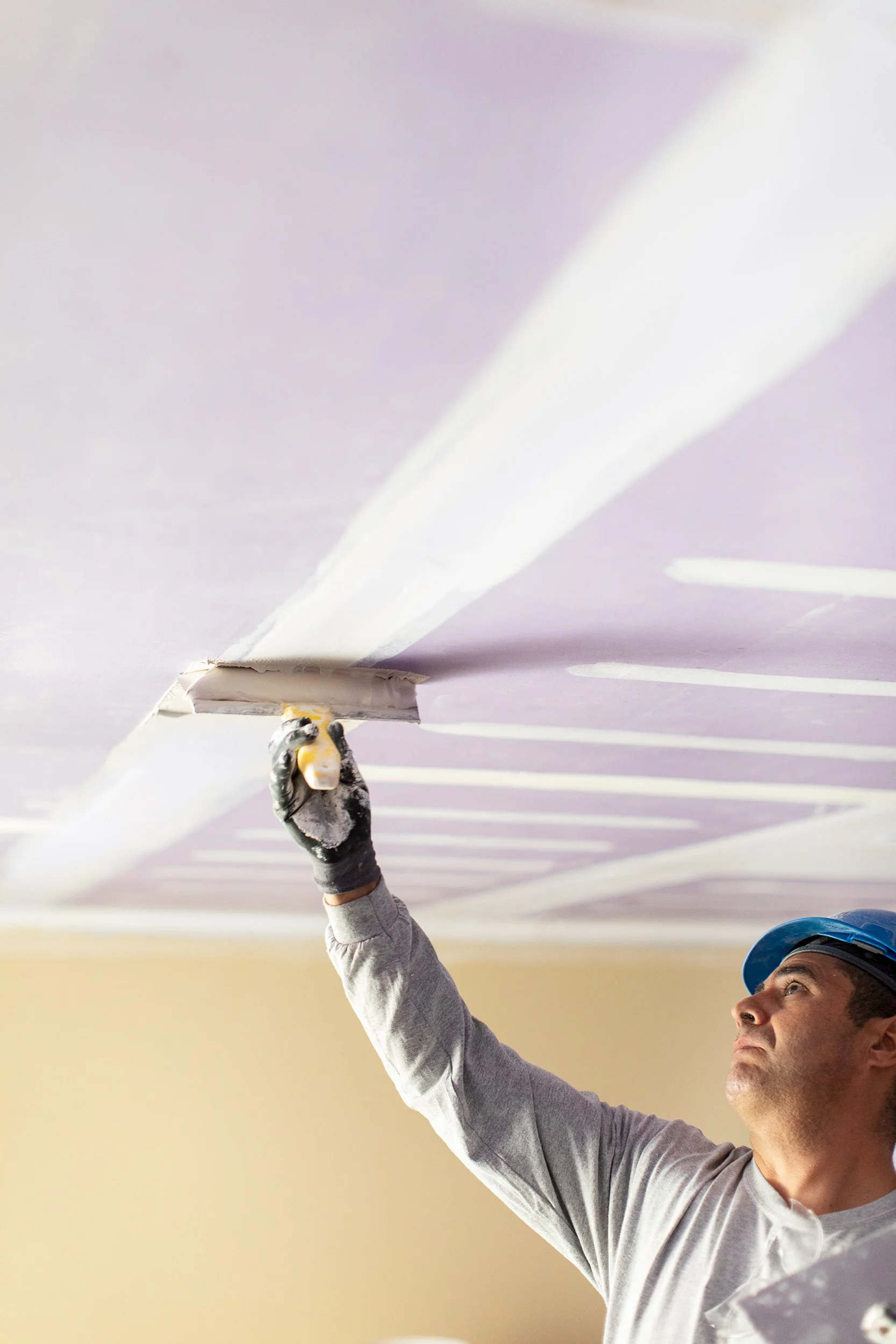 NG_Purple_3993.jpg