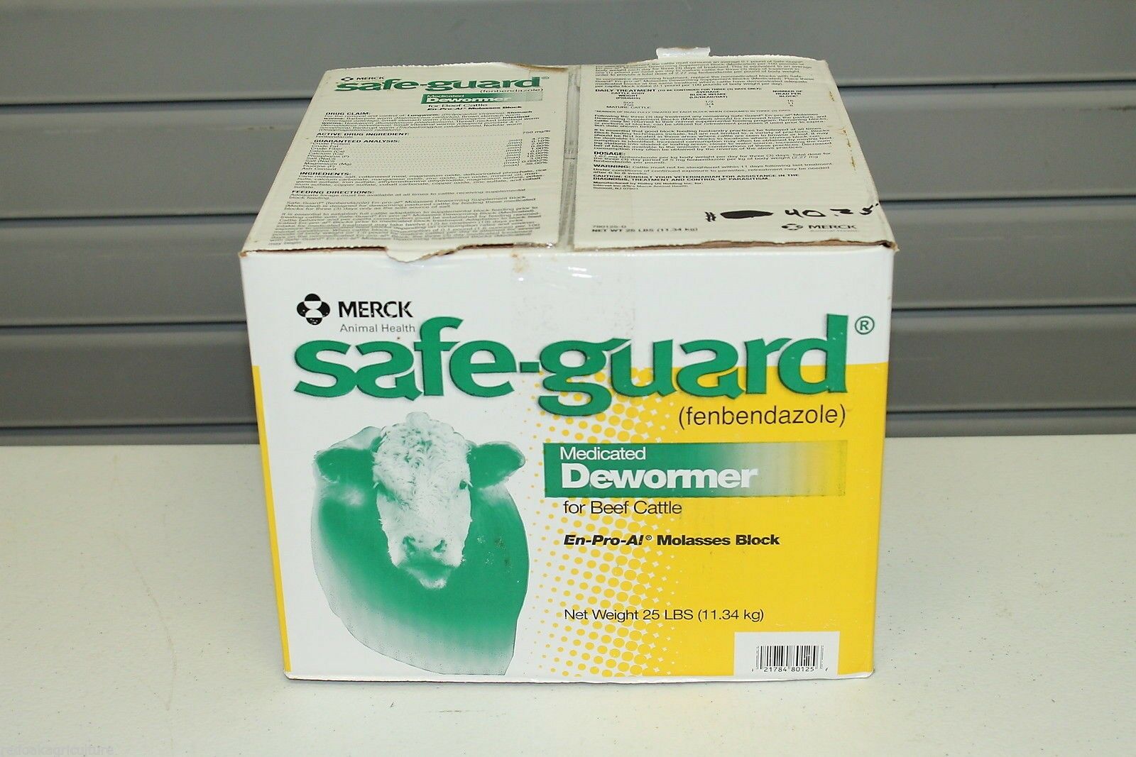 safe guard .jpg