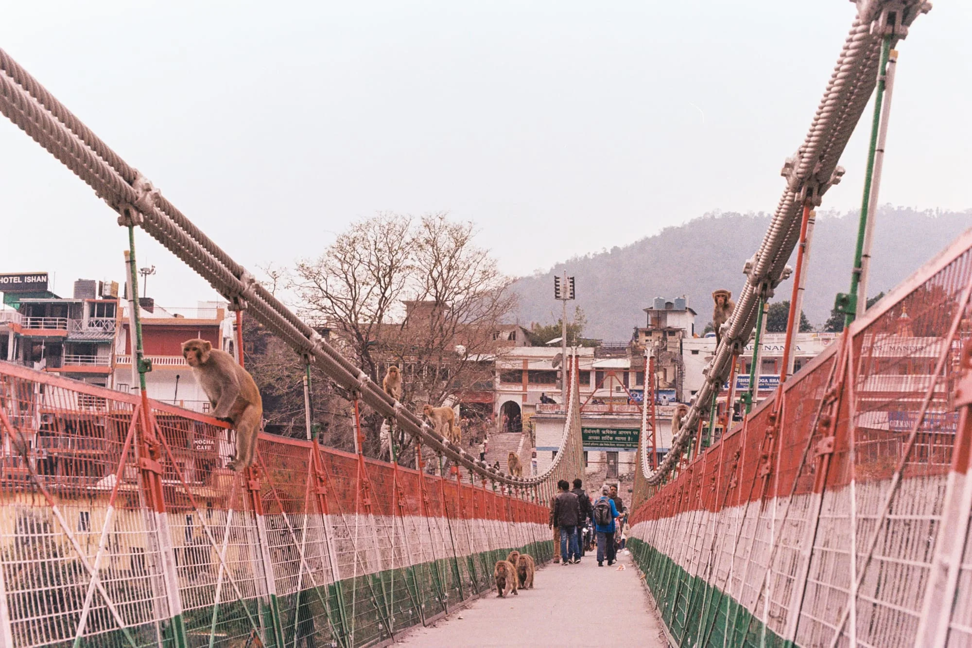 travelbyfifth-98.jpg