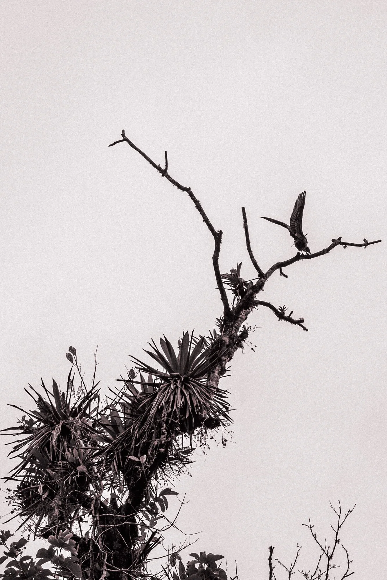 TravelNewWeb-27.jpg
