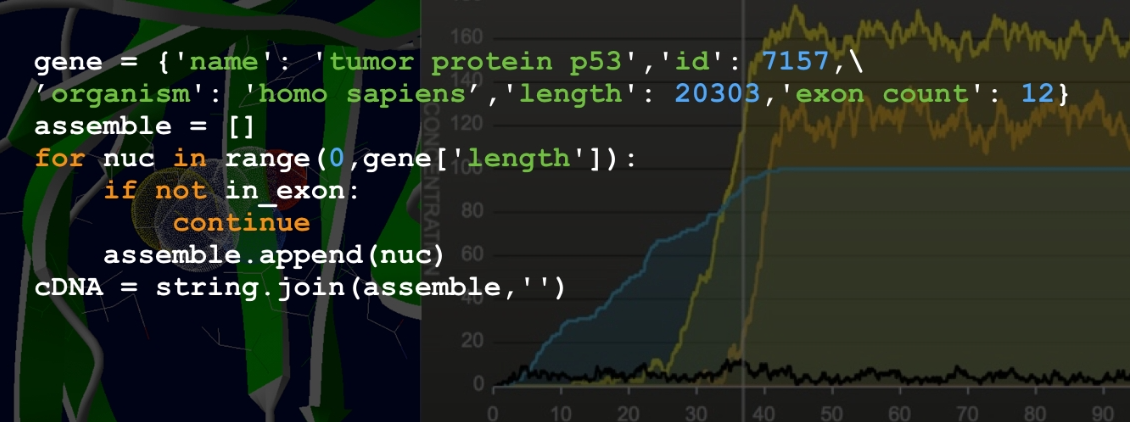 python_banner.png
