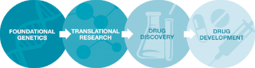 CAF_Research_Roadmap.png
