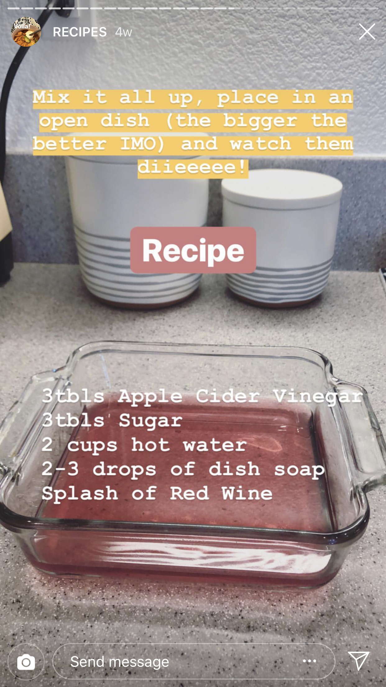 Michelle's Gnat Killing Recipe