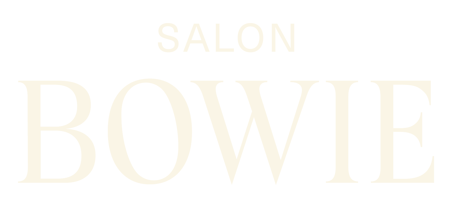 Aria Beauty Black Mini Blow Dryer & Hair Diffuser — Salon Bowie