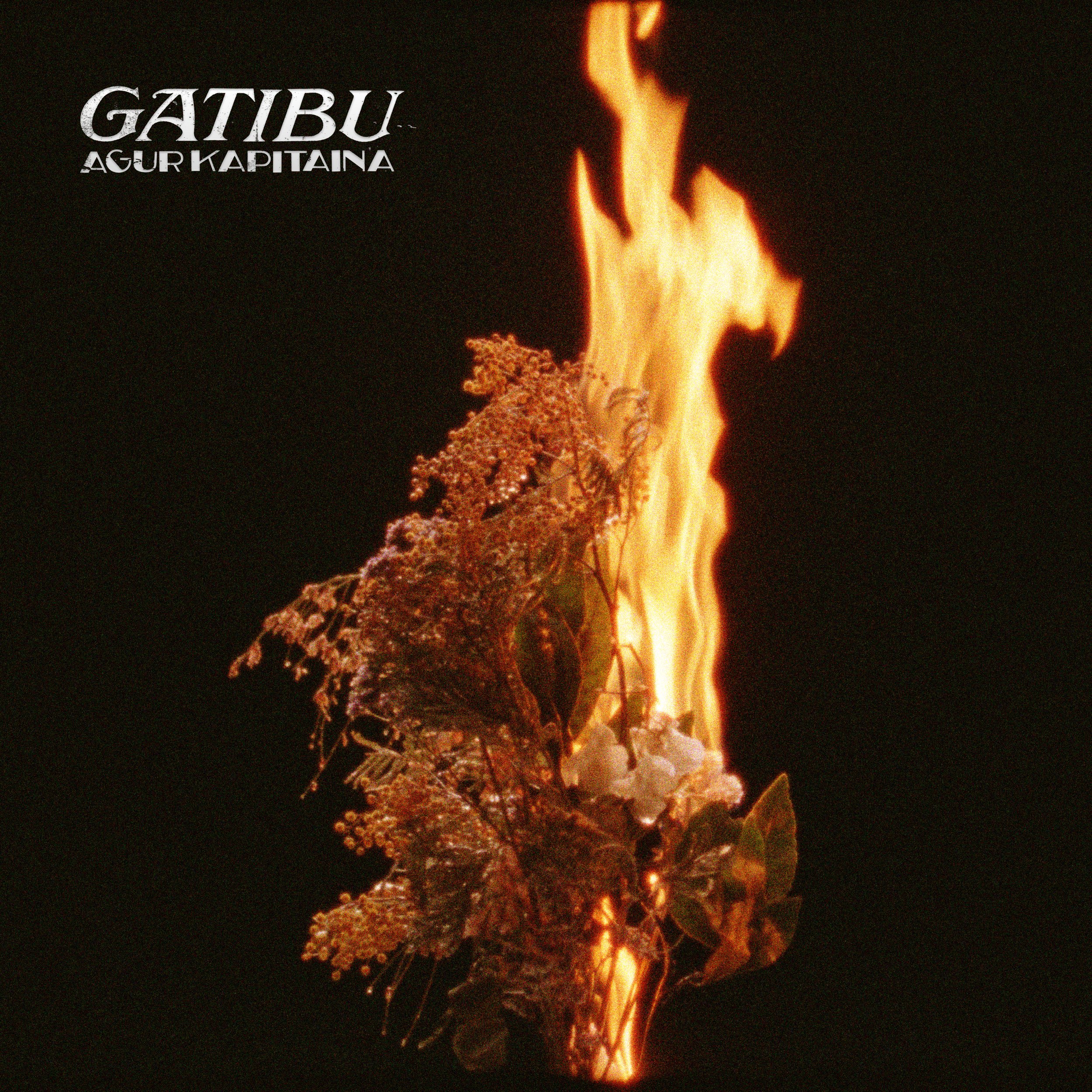 'Agur Kapitaina' Gatibuk kaleratu duen azken singlea