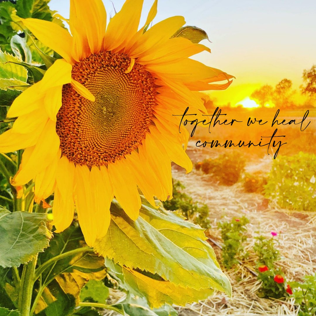 Together We Heal Community Flower Picking