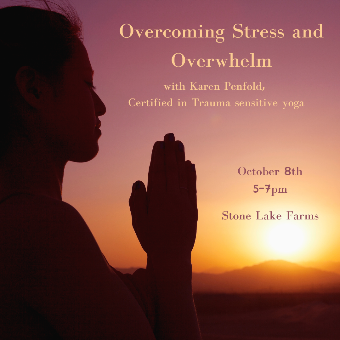 Overcoming Stress and Overwhelm