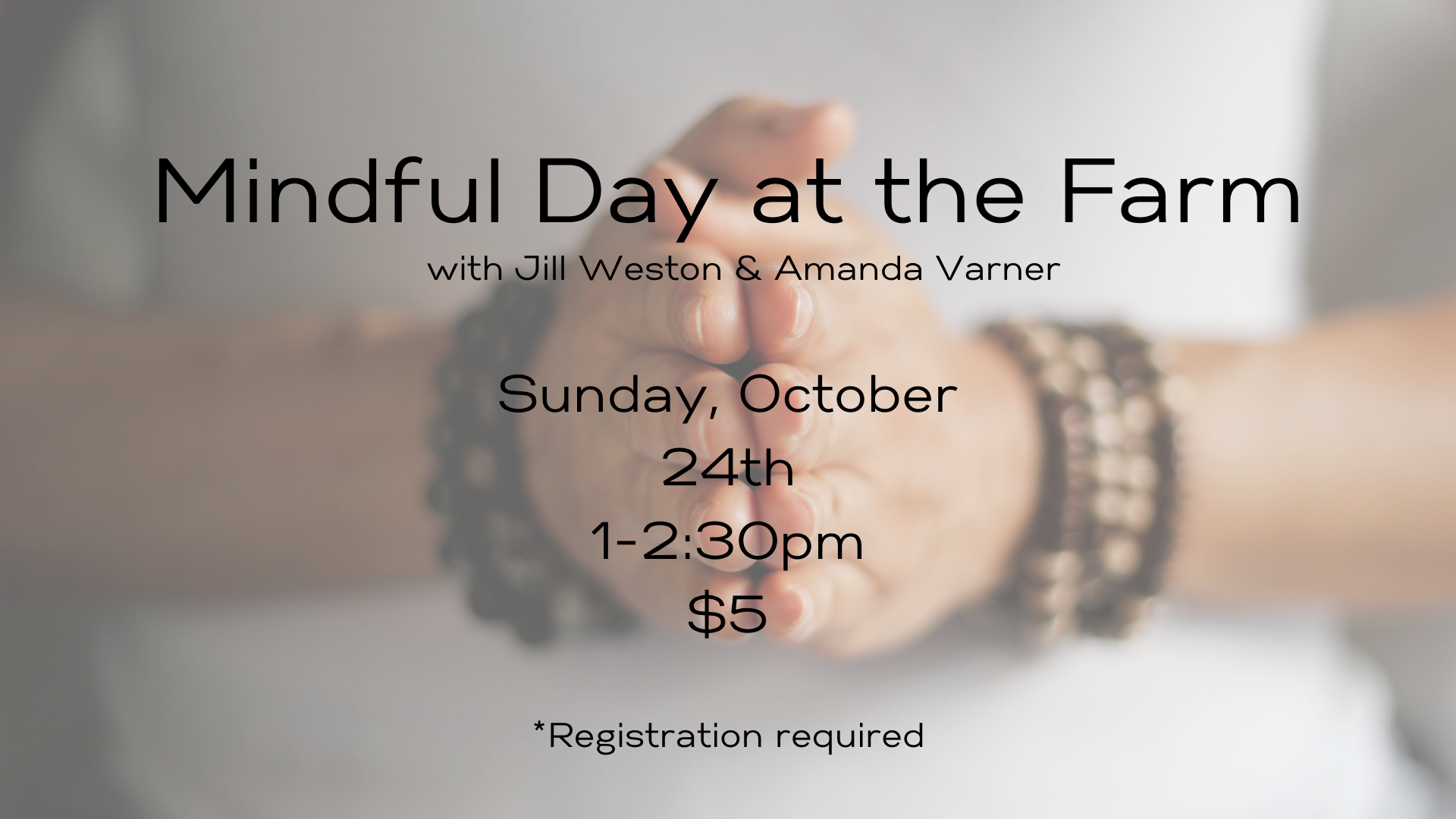 Mindful Friday at the Farm 