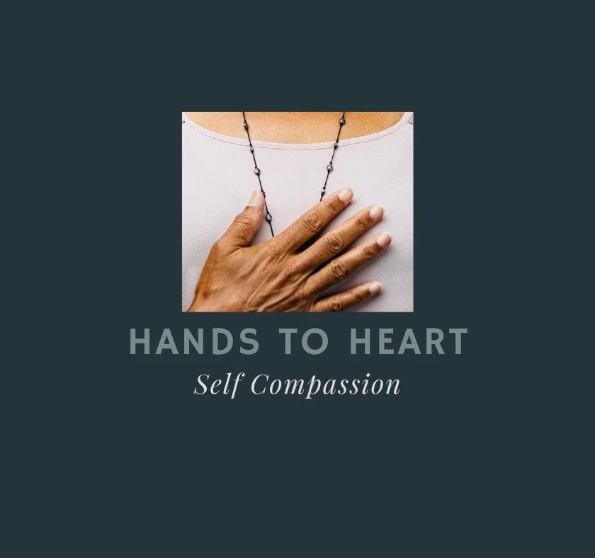 TWHC Hands to Heart (840 × 788 px).png website.JPEG