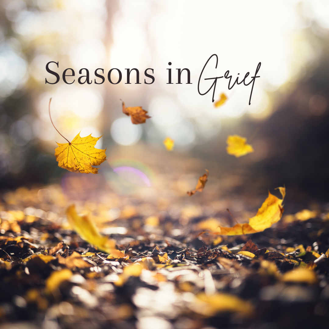 Seasons In Grief
