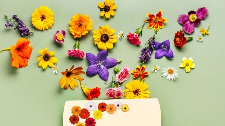 The Connection Between Gut Health & Mental Health