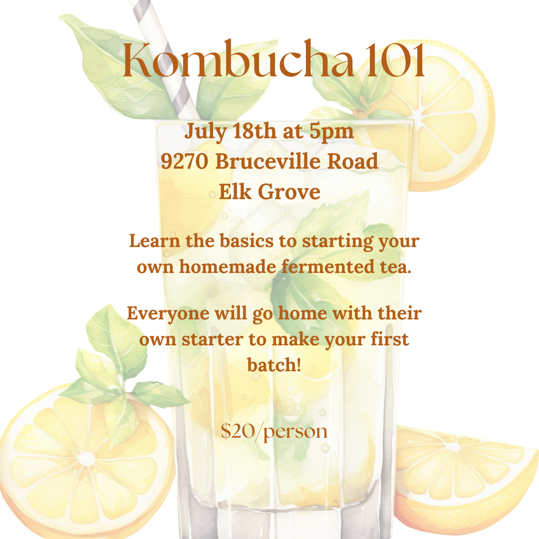 Kombucha 101