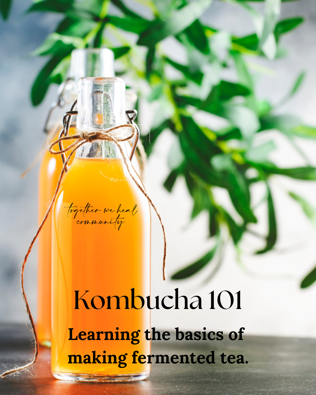 Kombucha 101