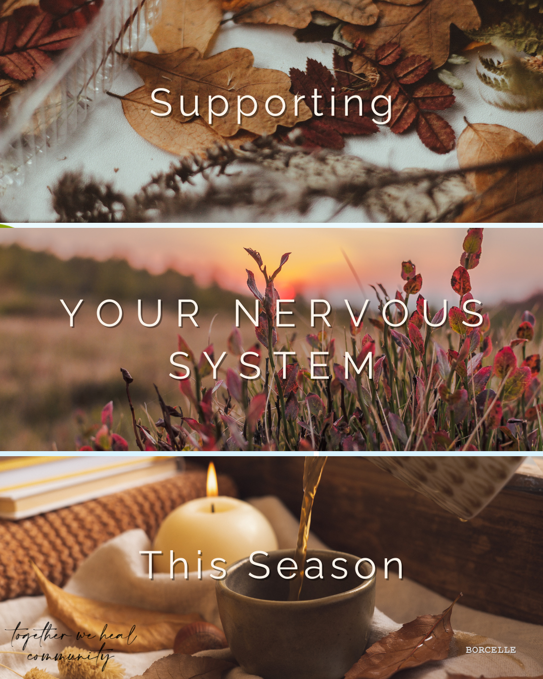 Supporting Your Nervous System This Season ~ Simple Ways to Bring Calm & Balance To Your Body