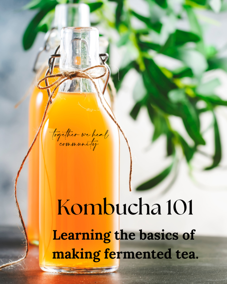 Kombucha+101+%282%29.png