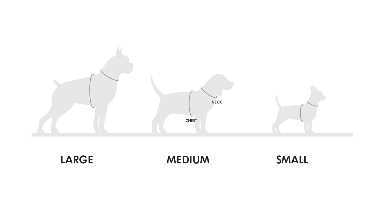 SIZE INFO1.png