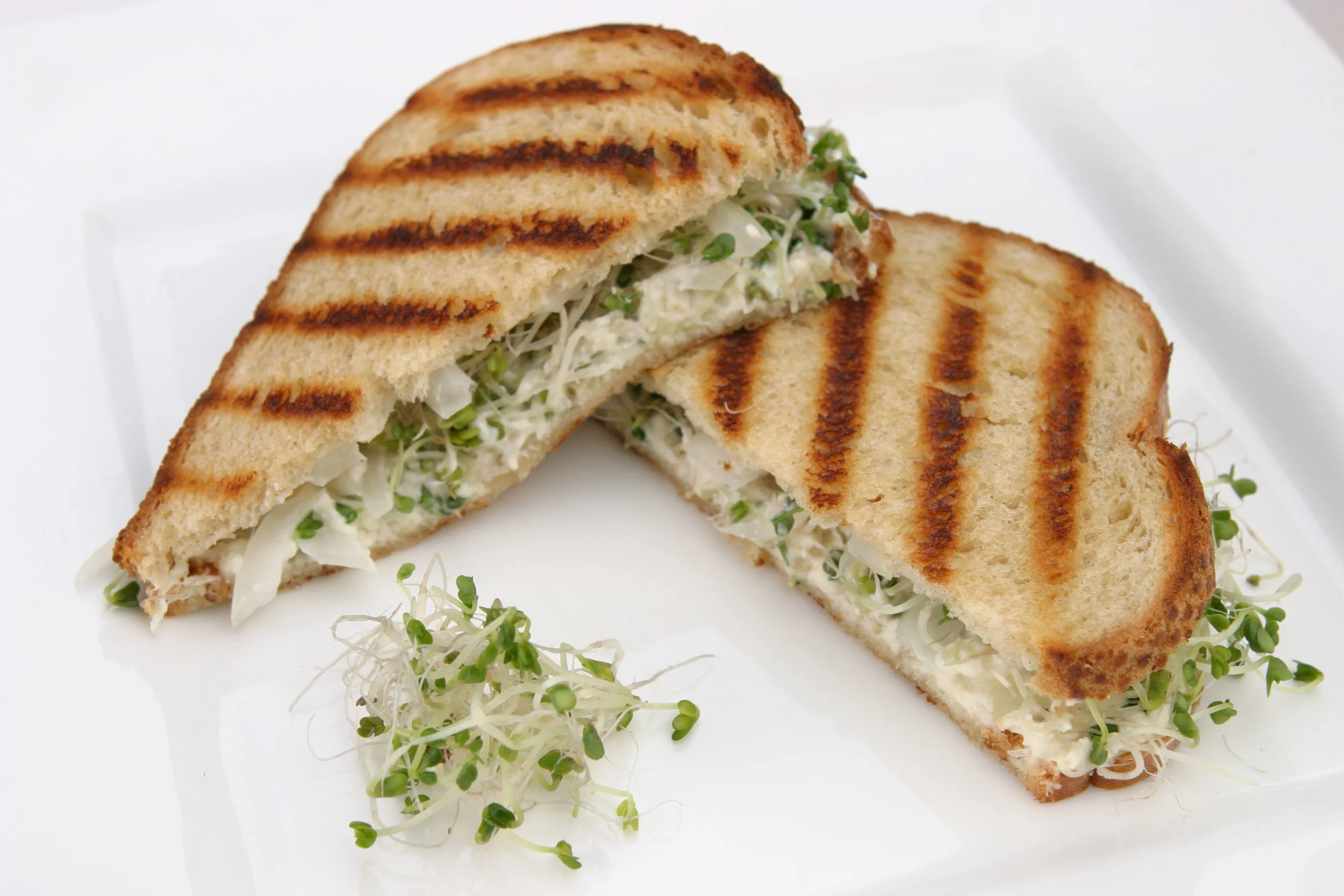 broccoli-sprout-sandwich.jpg