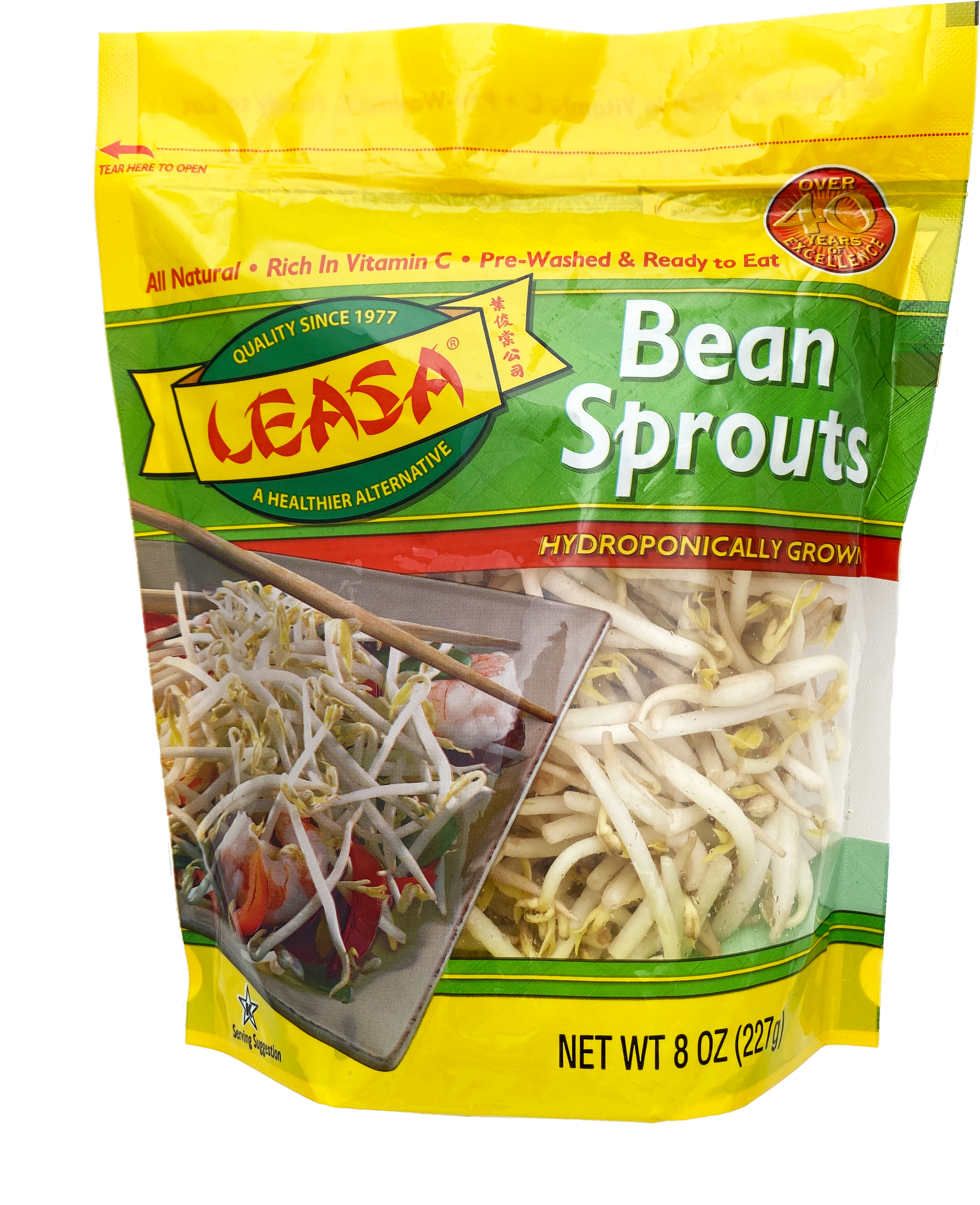 Leasa Industries Co Inc