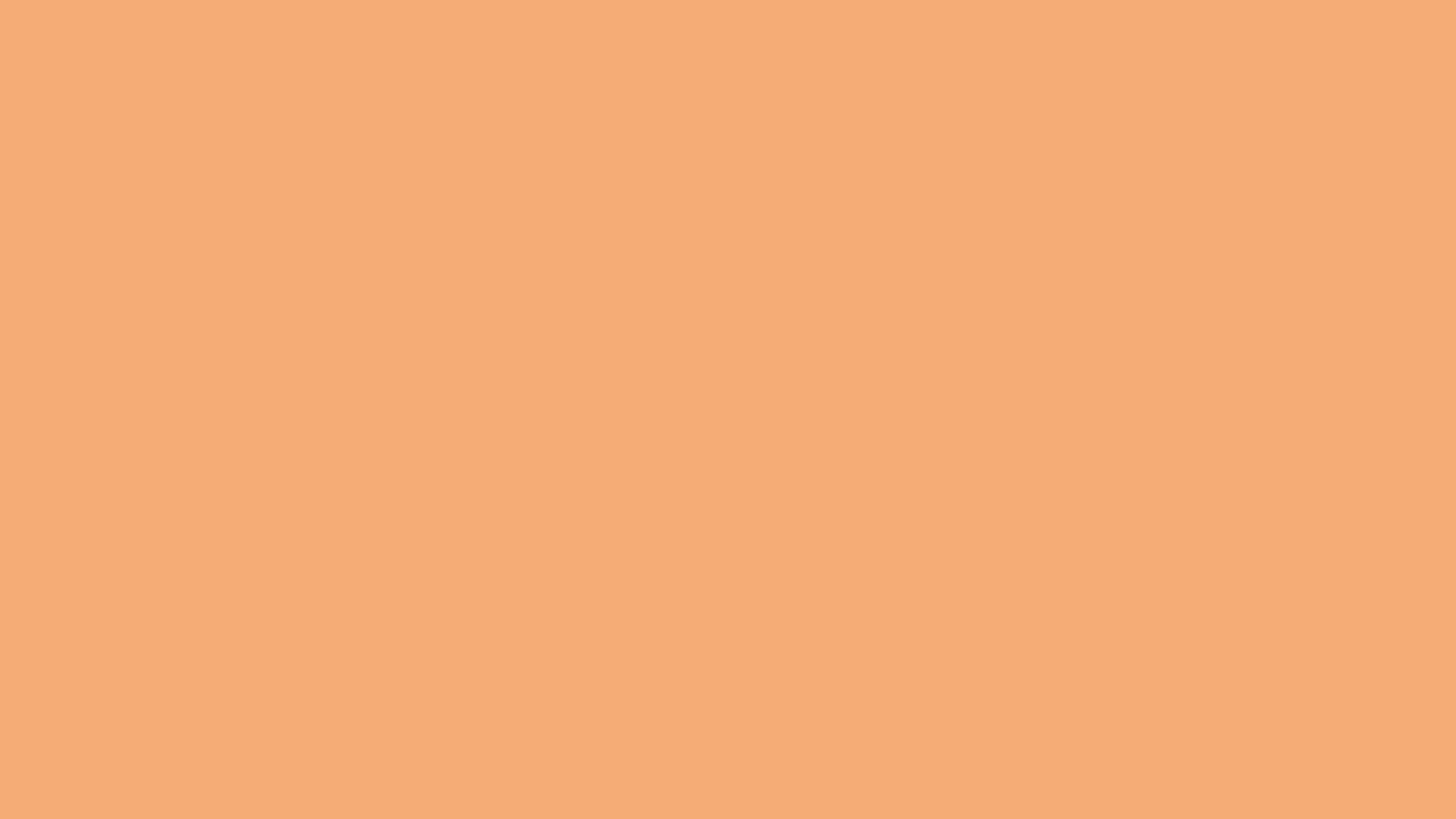 cover_sb-brute.png