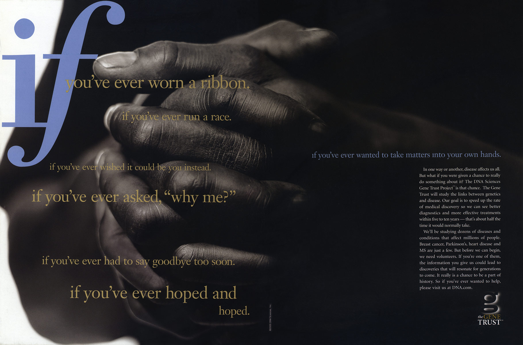 StacyBolt_WhatIf_Mailer_03_Inside.jpg