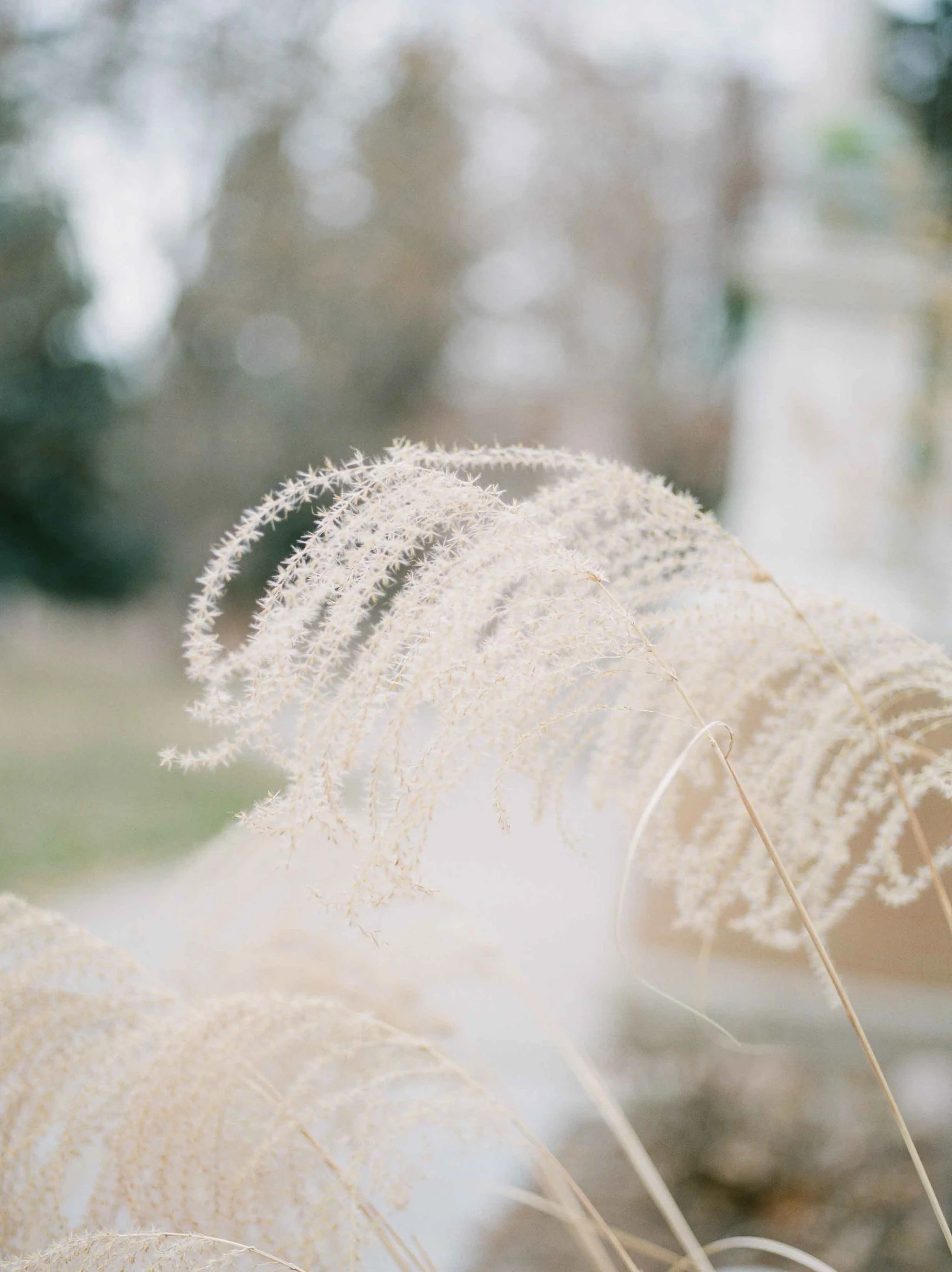 Sarah Porter Photography Featured on Magnolia Rouge