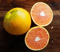 citrus_caracara.jpg