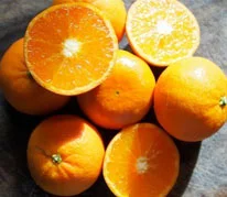 T_clementine.jpg