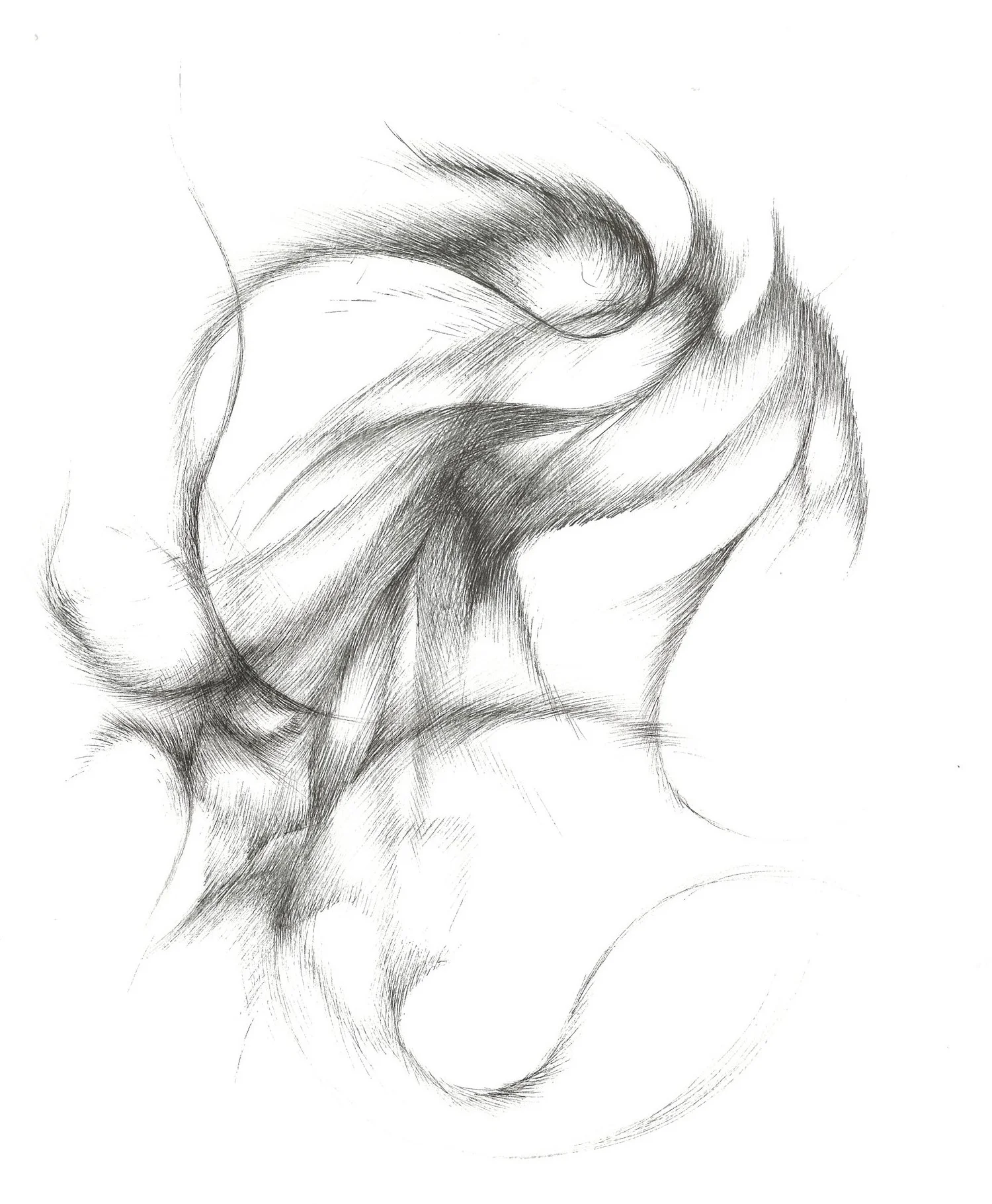 00000027.jpg