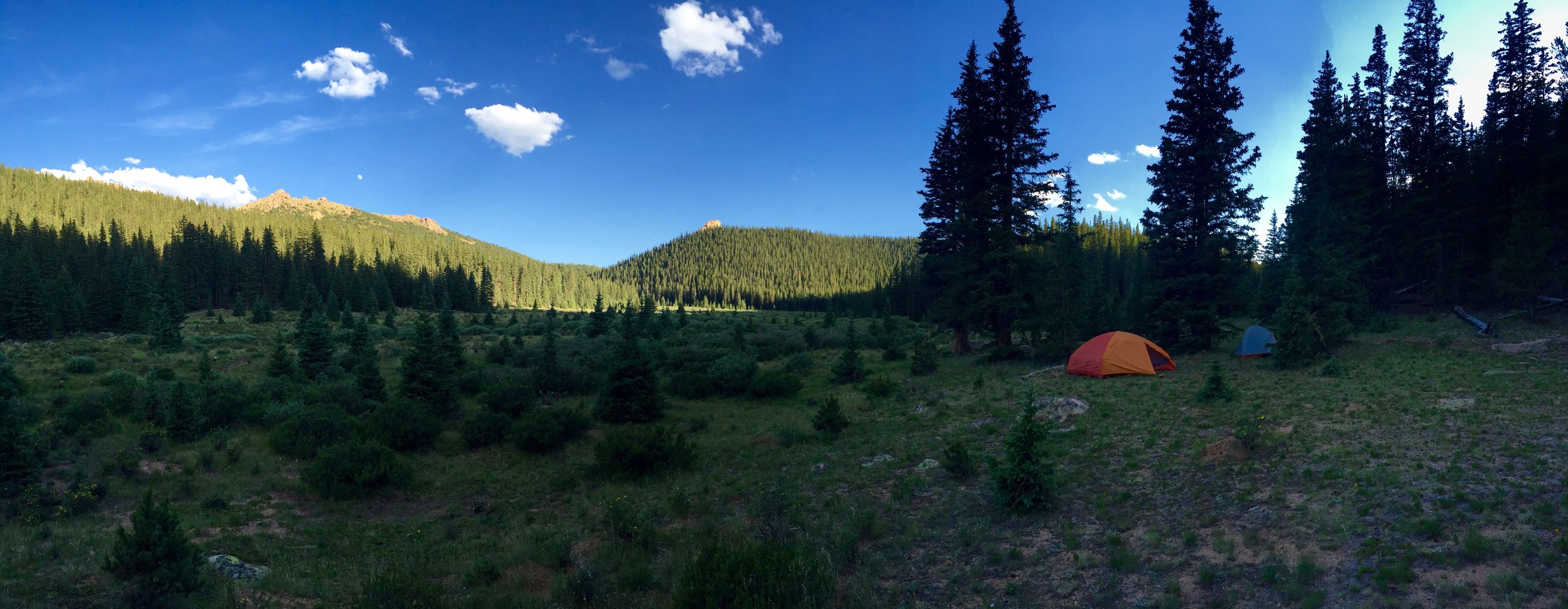 Make sure to keep your campsite meticulously clean. Set up your kitchen 100 yards away.