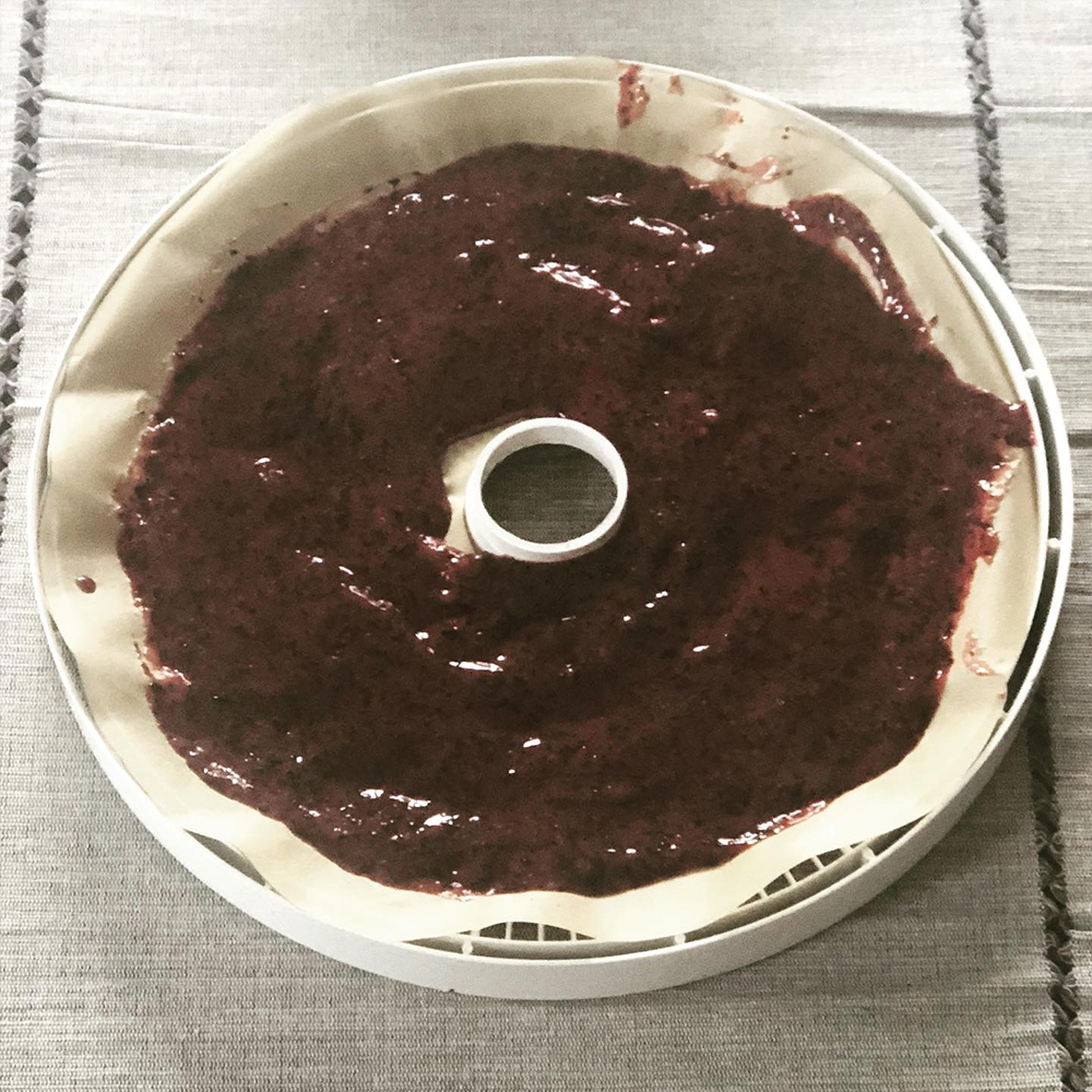 Recipes_3FaveFruitLeathers-inset3.png
