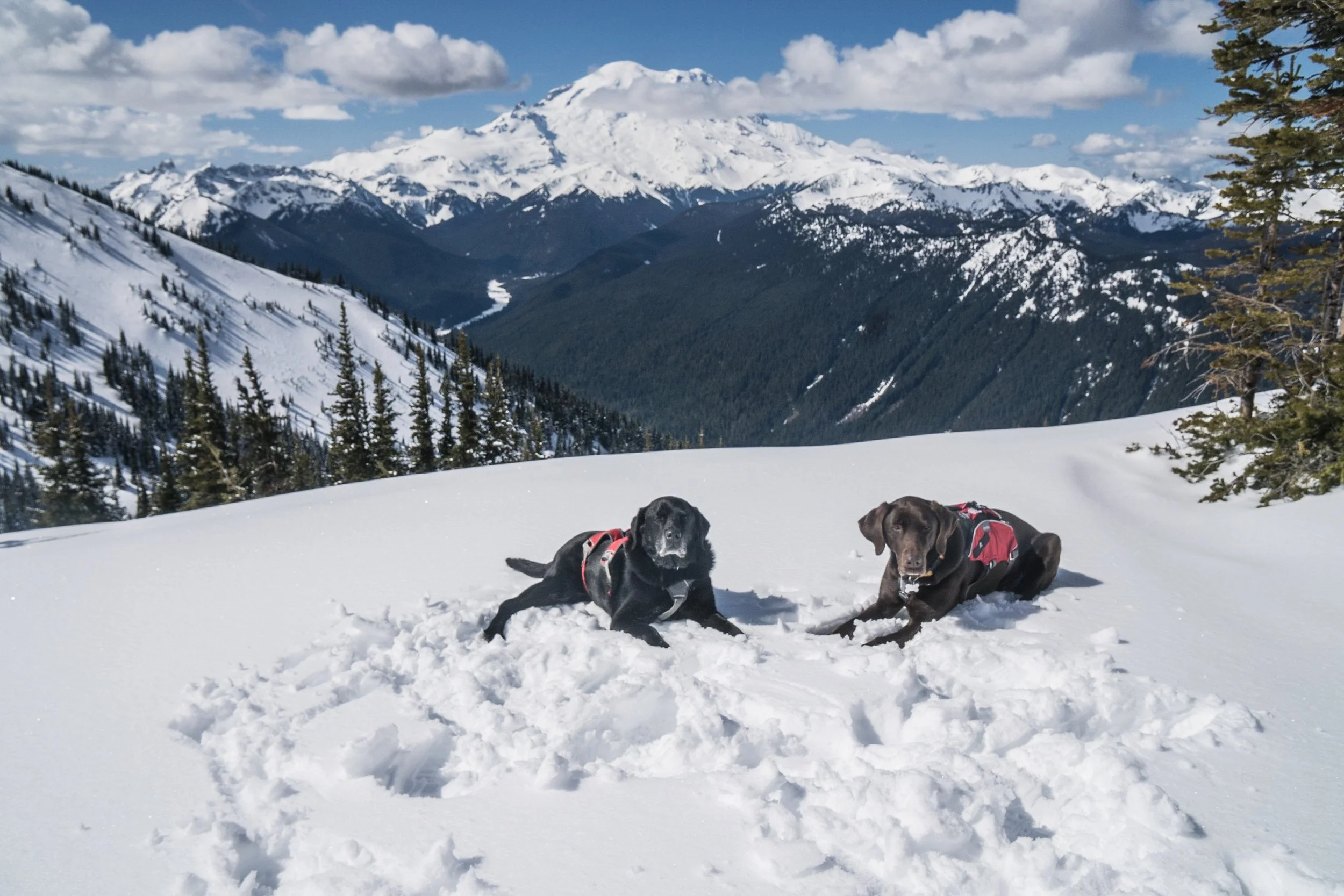 Kala with BFF Ari - Best workplace views in the world!