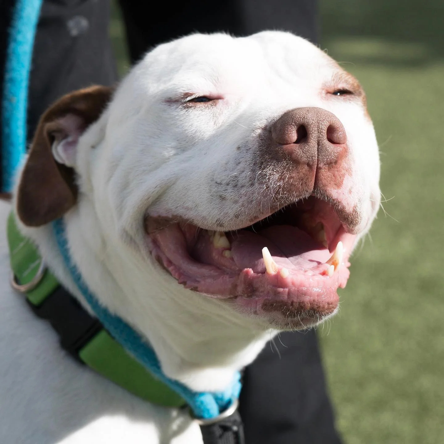    🎶 Home is wherever I’m with you🎶   