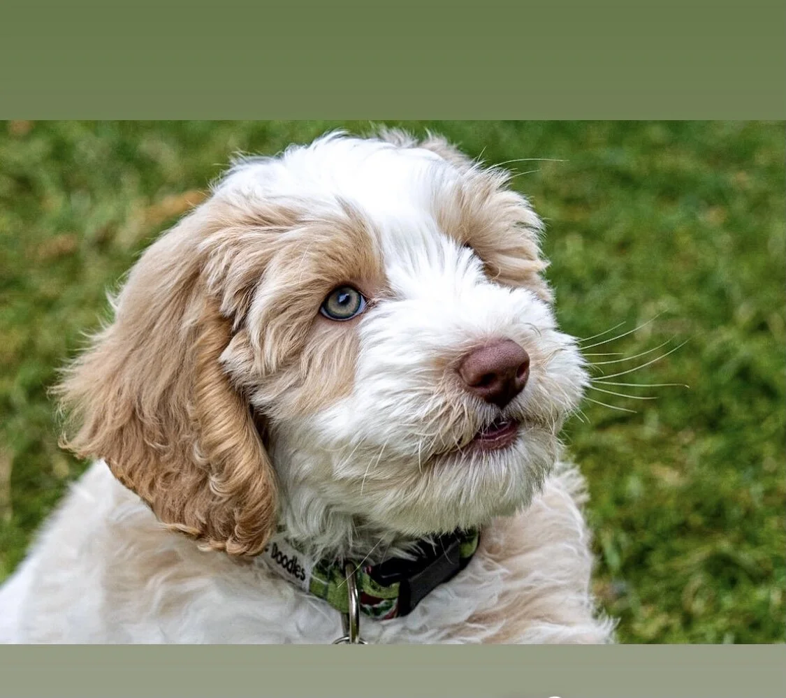 B1DEEA28-8905-45E2-AEED-1B3A69D6466B 2.jpg